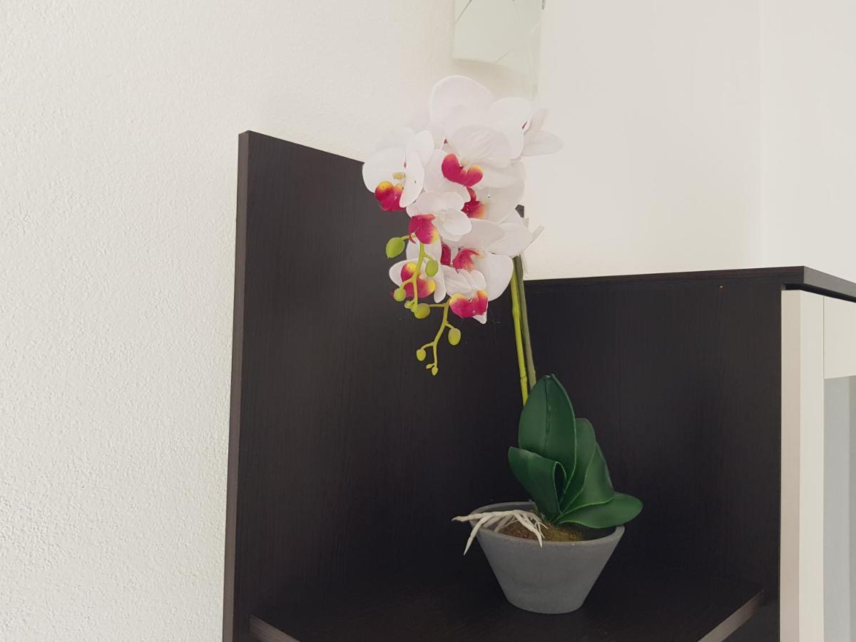 Apartman Mia With Pool1 سبليت المظهر الخارجي الصورة